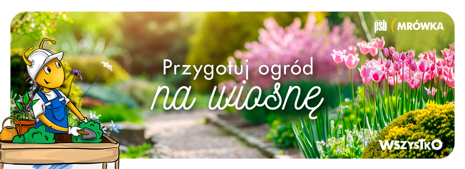 Grupa PSB mrowka Mrówka Rawicz