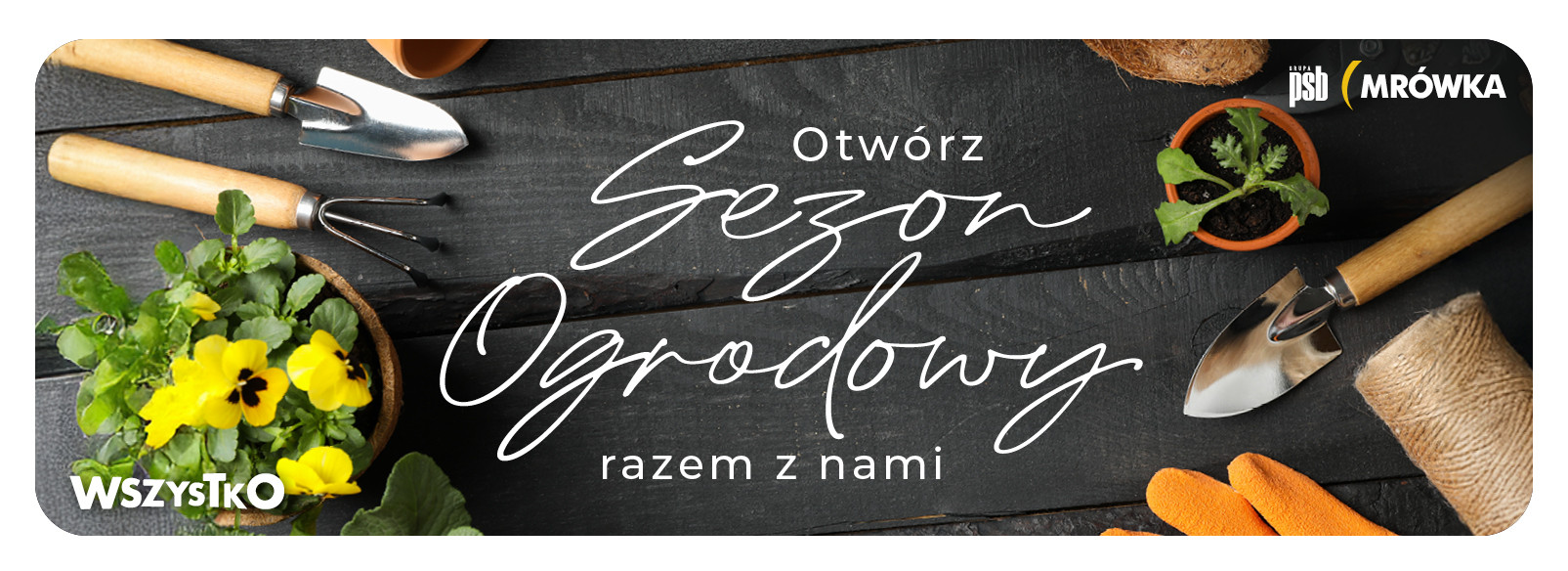 Grupa PSB mrowka Mrówka Rawicz