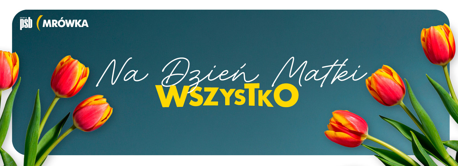 Grupa PSB mrowka Mrówka Rawicz